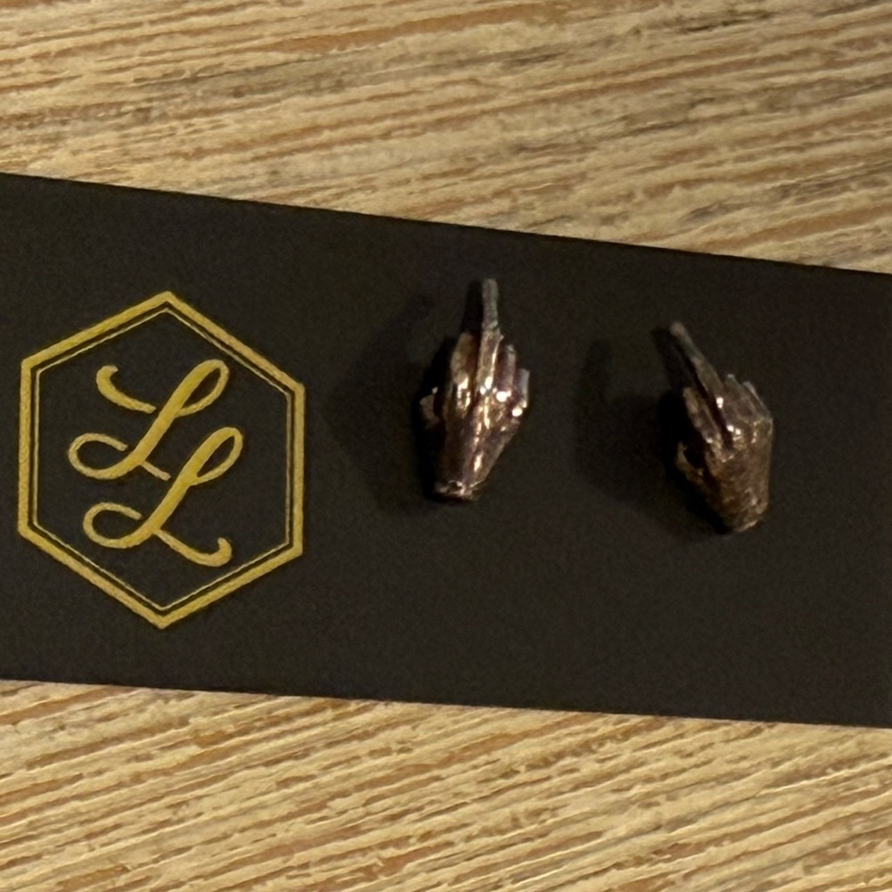 Middle Finger Earrings View 4